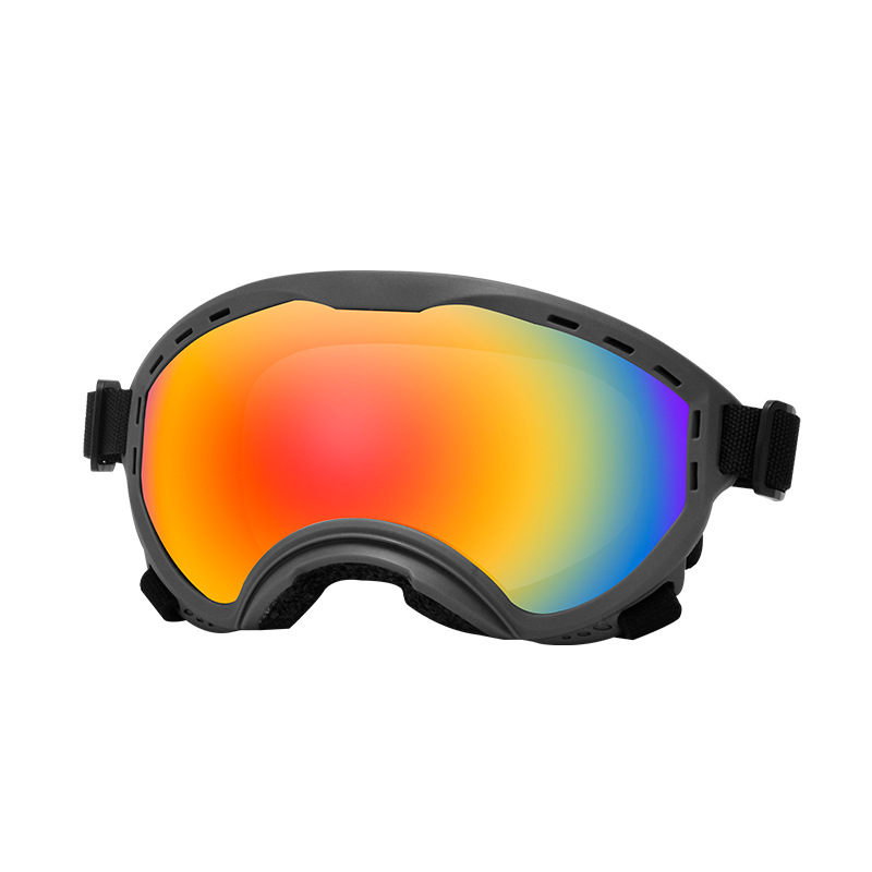 Huisdierbril Windzand UV-besch - Travel Accessories Ideas recensie en prijs