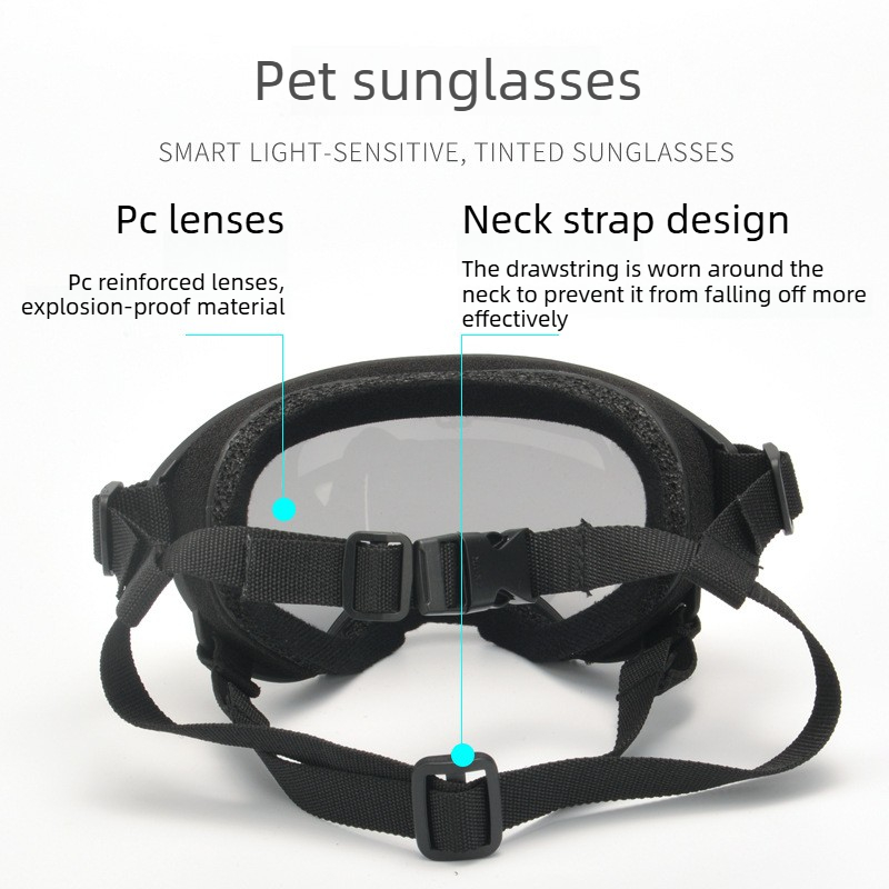 Huisdierbril Windzand UV-besch - Travel Accessories Ideas recensie en prijs